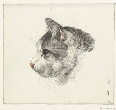 Head of a Cat, to the Left by Jean Bernard