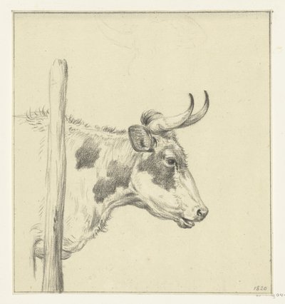 Head of a Cow, Facing Right by Jean Bernard