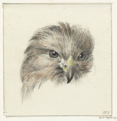 Head of a Bird of Prey by Jean Bernard