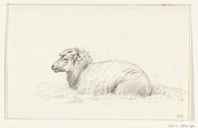 Lying Sheep, Facing Left by Jean Bernard