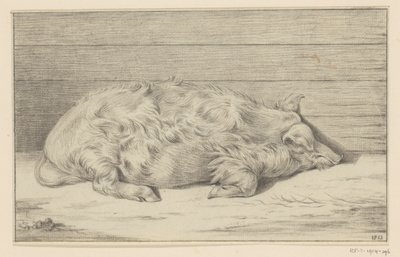 Lying Pig, Facing Right, Against a Shelter by Jean Bernard