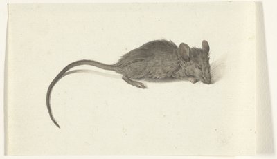 Mouse, Facing Right by Jean Bernard