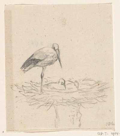 Stork on Nest by Jean Bernard