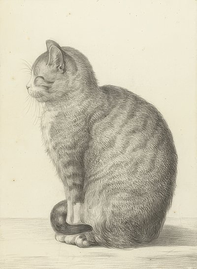 Sitting Cat, to the Left. 1815 by Jean Bernard