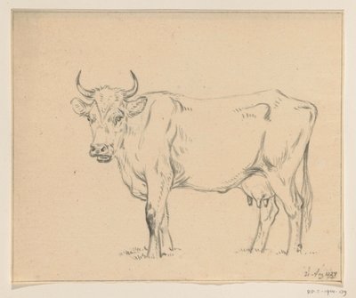 Standing Cow, Facing Left by Jean Bernard