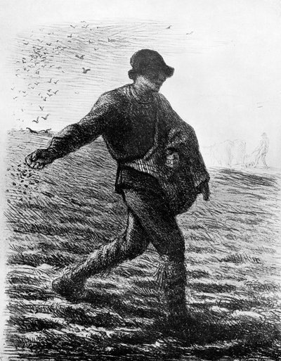 Le Semeur by Jean Francois Millet