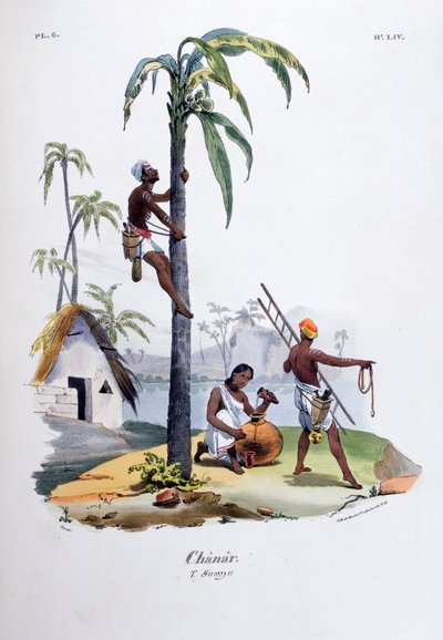 Chanar by Jean Henri Marlet