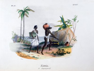 Tottis by Jean Henri Marlet