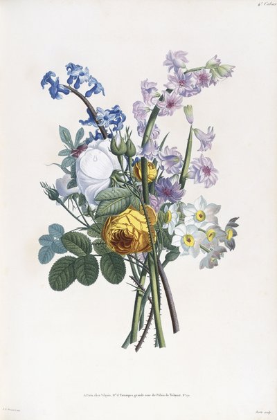 Narcissi, Rosa, Hyacinth by Jean Louis Prevost