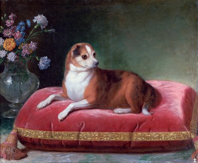 The Bitch on a Cushion by Jean Ranc