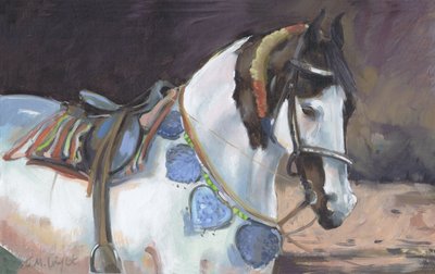 Marwari Horse II by Jennifer Wright
