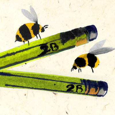 2B Or Not 2 Bee by Jenny Frean