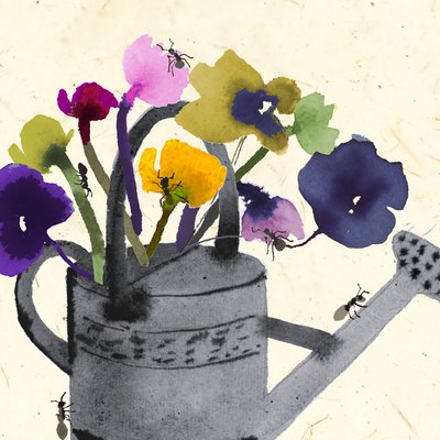 Ants In Your Plants by Jenny Frean