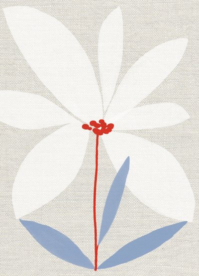 Printed Daisy by Jenny Frean