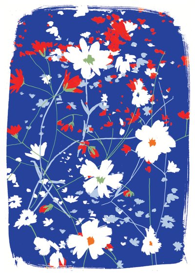 Woodland Flowers by Jenny Frean