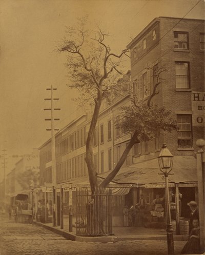 The Stuyvesant Pear Tree by Jeremiah Gurney