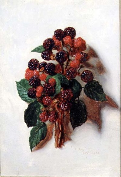 October (from a series of twelve) by Jessica Hayllar