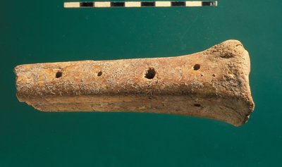 Flute, City of David by Jewish School