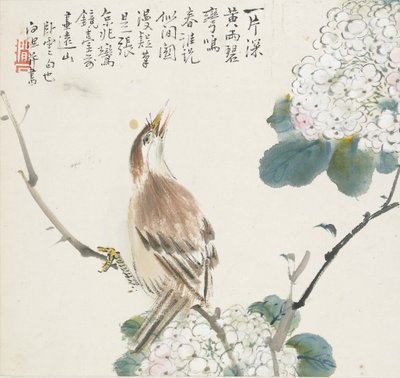 A Chinese Hwamei, 1857 by Jin Yuan