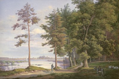 A Meadow in Hamburg by Joachim Faber