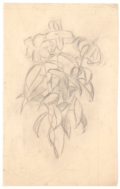 Flower Study by Joakim Frederik Skovgaard