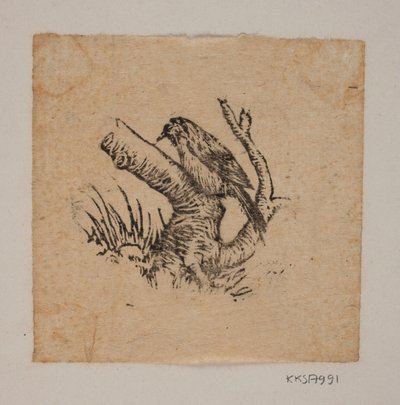 A woodpecker by Joakim Frederik Skovgaard