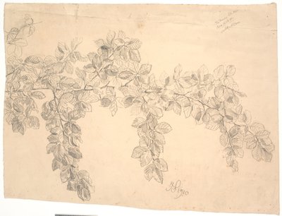 Study of Beech Branch by Joakim Frederik Skovgaard