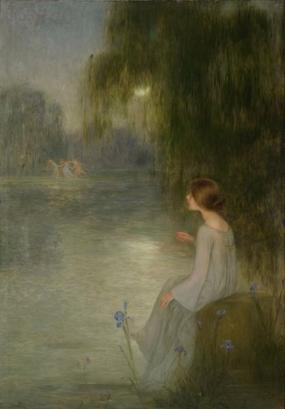 Dream by Joan Brull