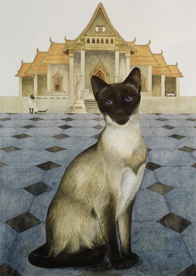 Siamese by Joan Freestone