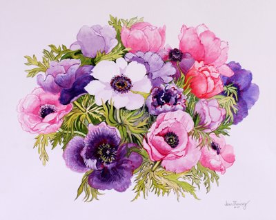 Anemones by Joan Thewsey