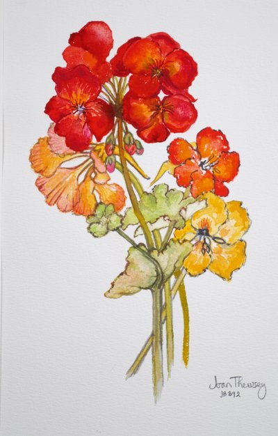 Geranium and Nasturtiums by Joan Thewsey