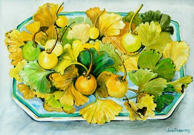 Ginkgo, Fruit and Leaves by Joan Thewsey