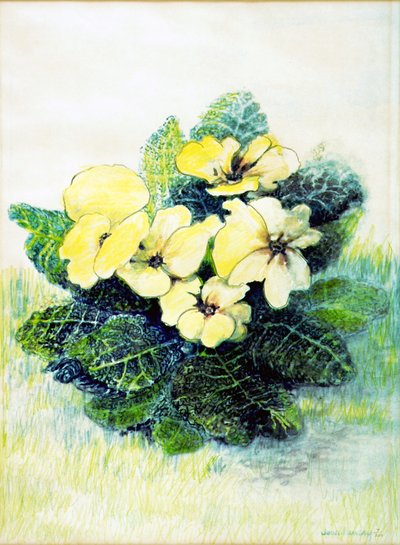Primrose Pale Yellow, 2005 by Joan Thewsey