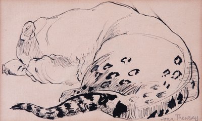 Sketch, Leopard, London Zoo 2005 by Joan Thewsey