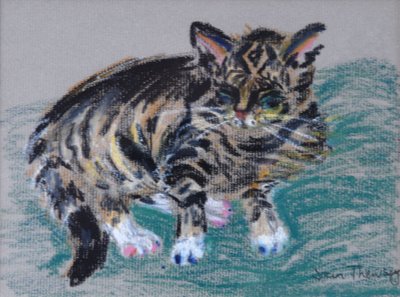 Tabby Cat, 2005 by Joan Thewsey