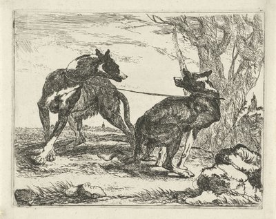 Two Dogs (Dogs) by Joannes Fijt