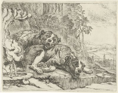 Two Lying Dogs by Joannes Fijt