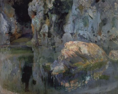 The Rock of the Pond by Joaquim Mir i Trinxet