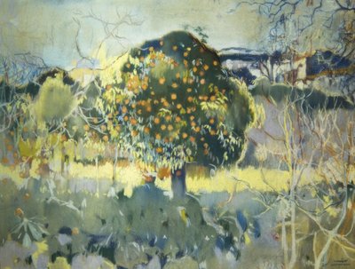 Landscape by Joaquim Mir i Trinxet