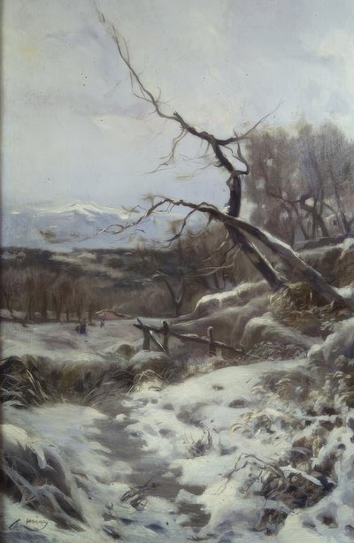 Winter by Joaquim Mir i Trinxet