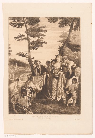 Moses Rescued from the Nile by Joaquín Araujo Ruano