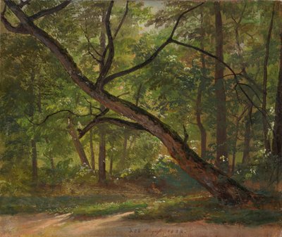 Scene in the Great Garden near Dresden by Johan Christian Dahl