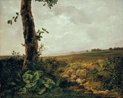 View near Præstø by Johan Christian Dahl