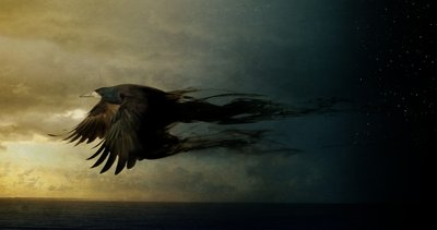 Bird Kingdom 2 by Johan Lilja