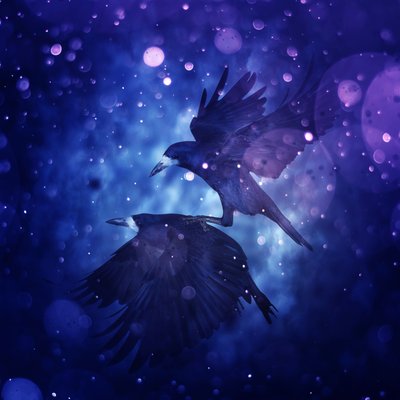 Bird Kingdom 3 by Johan Lilja