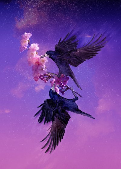 Bird Kingdom 5 by Johan Lilja