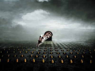 Tulip thief 2 by Johan Lilja