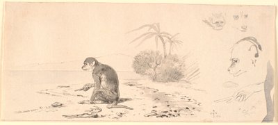 The Monkey. Studies of Monkey Heads, etc. by Johan Thomas Lundbye