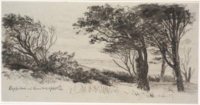 Windblown Trees. Vejrhøj by Johan Thomas Lundbye