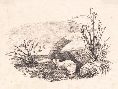 The Ermine by Johan Thomas Lundbye